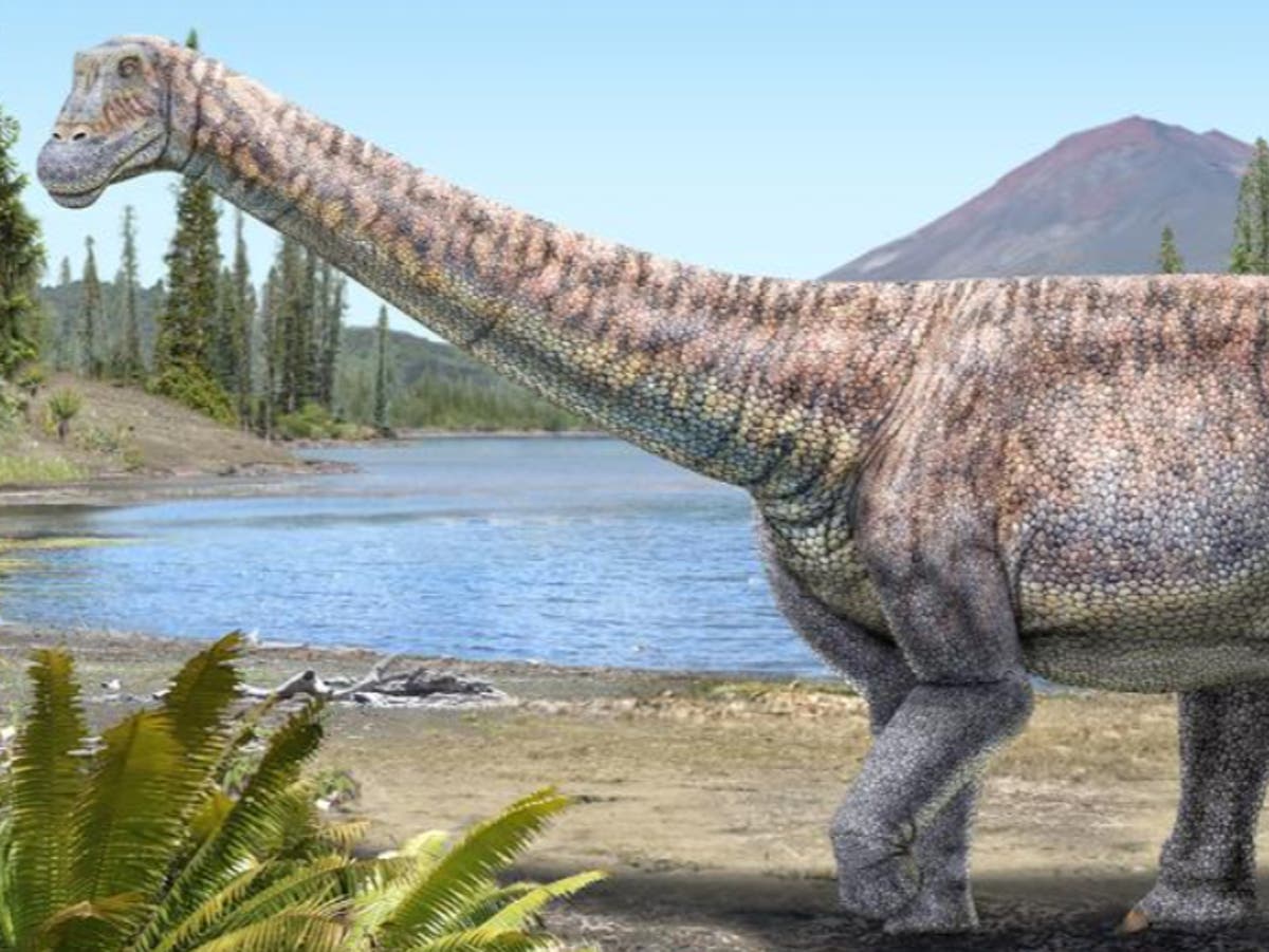 New dinosaur find part of previously unknown level of dino diversity in the  Southwest