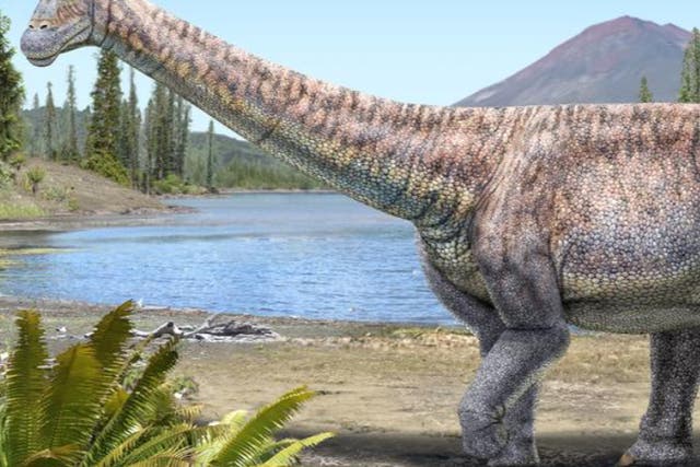 An artist’s impression of the plant-eating dinosaur whose remains scientists have discovered in the Atacama desert in Chile