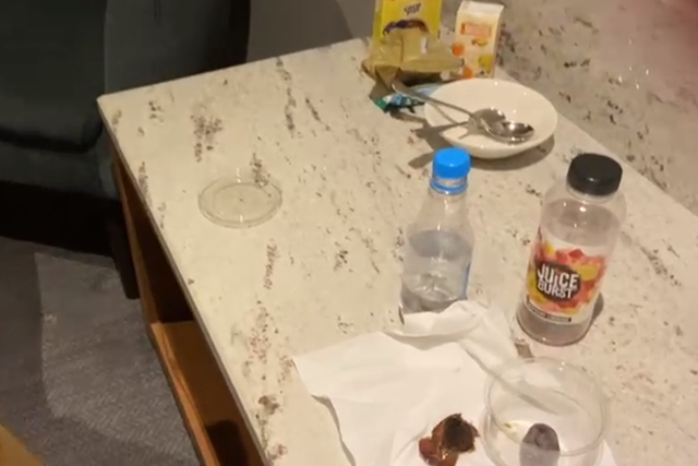 <p>One hotel resident, who is observing Ramadan, was provided with dates to break his fast in the evening and discovered an insect in one of them</p>