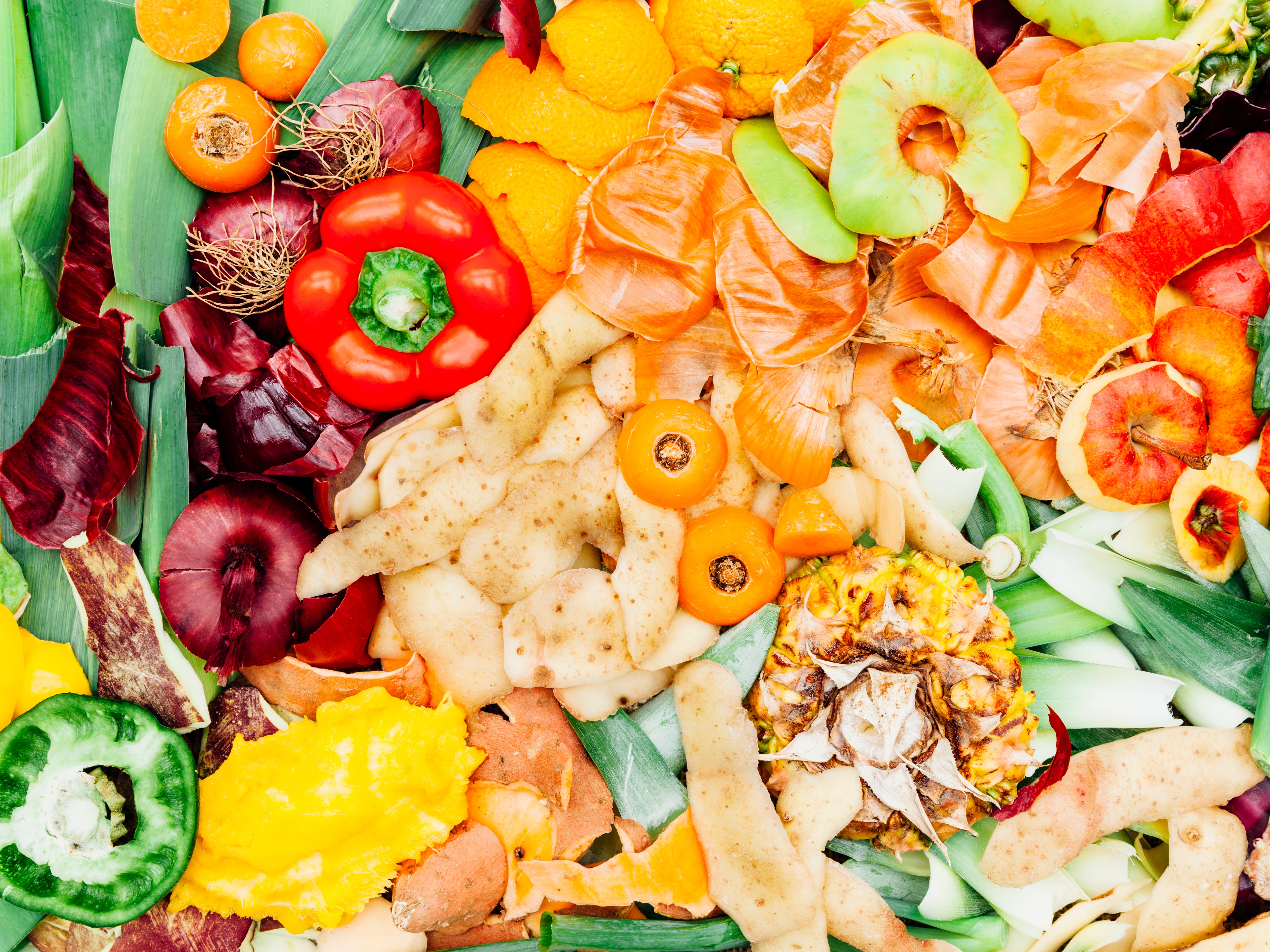 Earth Day: Tips and recipes to cut down on food waste - Vimarsana News