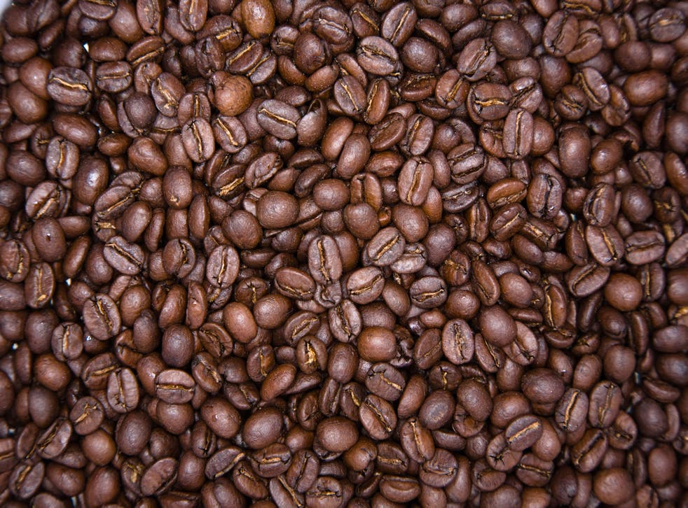 <p>The discovery of a rare coffee species that tolerates hotter and drier conditions could yield climate-resilient cuppas for decades to come</p>