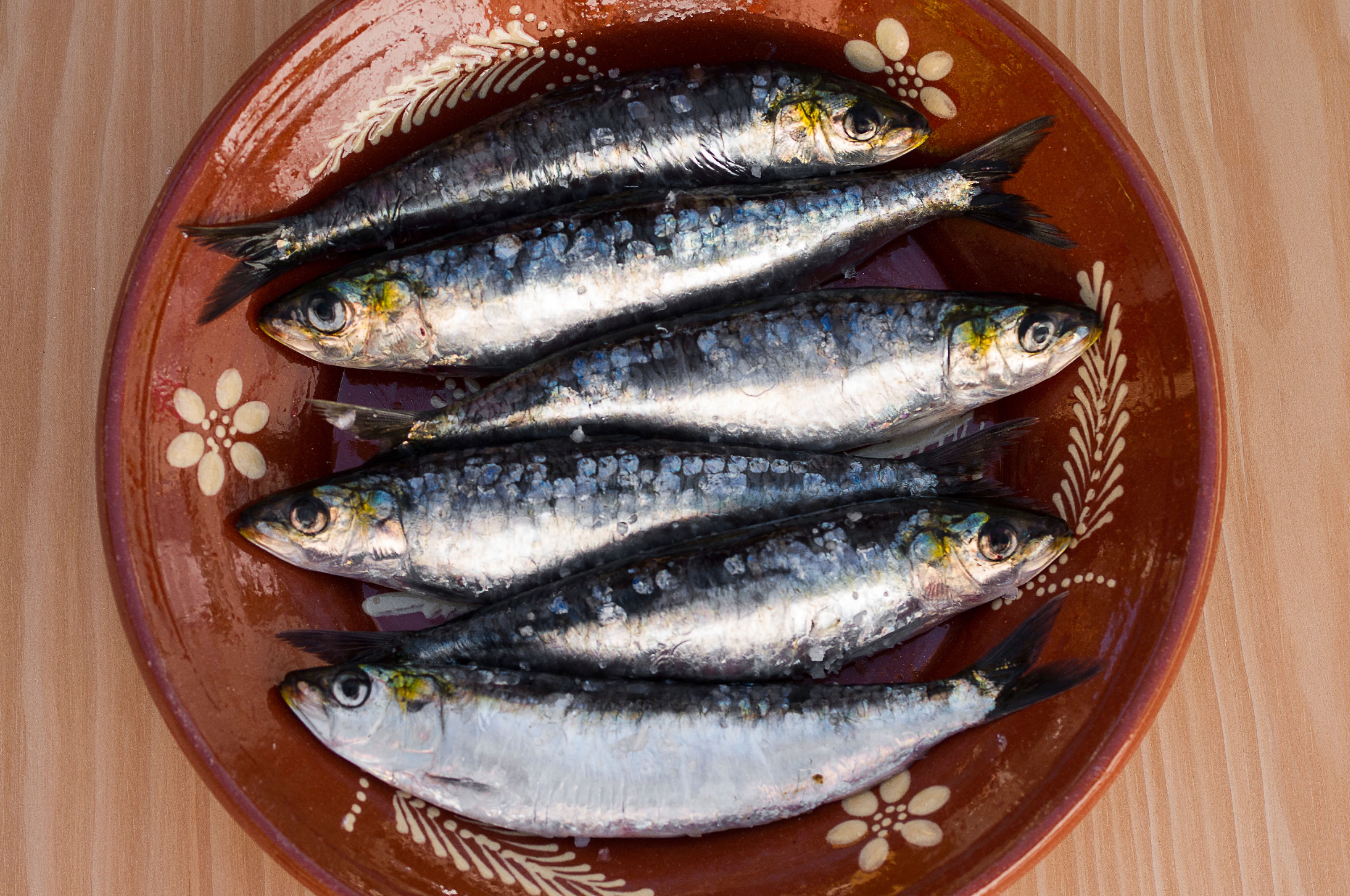Sardines have lost around two-thirds of their mass in the last decade