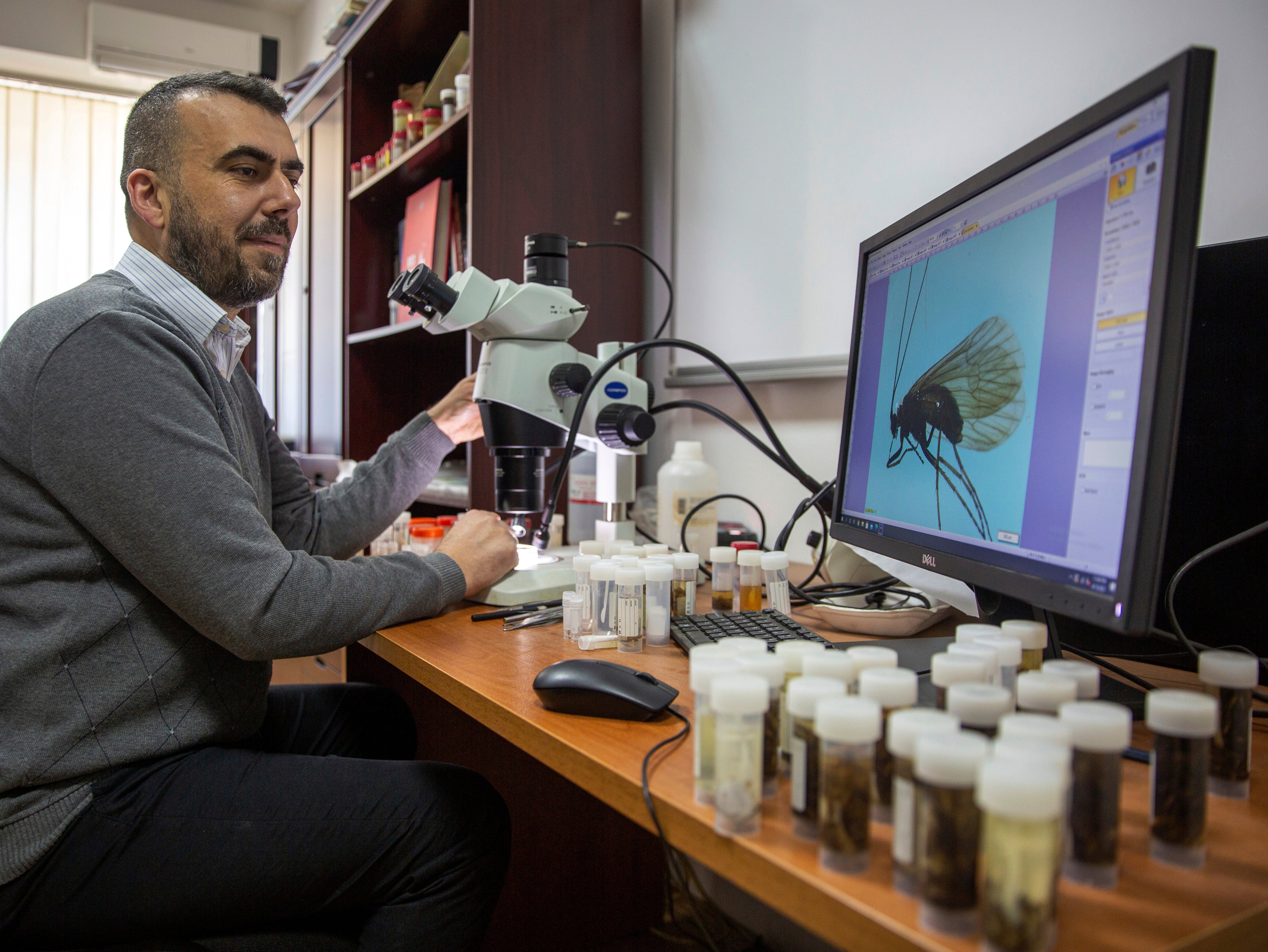 Professor Halil Ibrahimi of Pristina University in Kosovo looks under a microscope at his Potamophylax coronavirus discovery