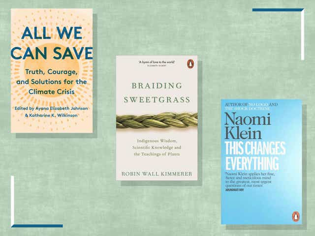 <p>These non-fiction tomes will arm you with the essential facts and offer hope about how we can achieve a just and clean energy future</p>