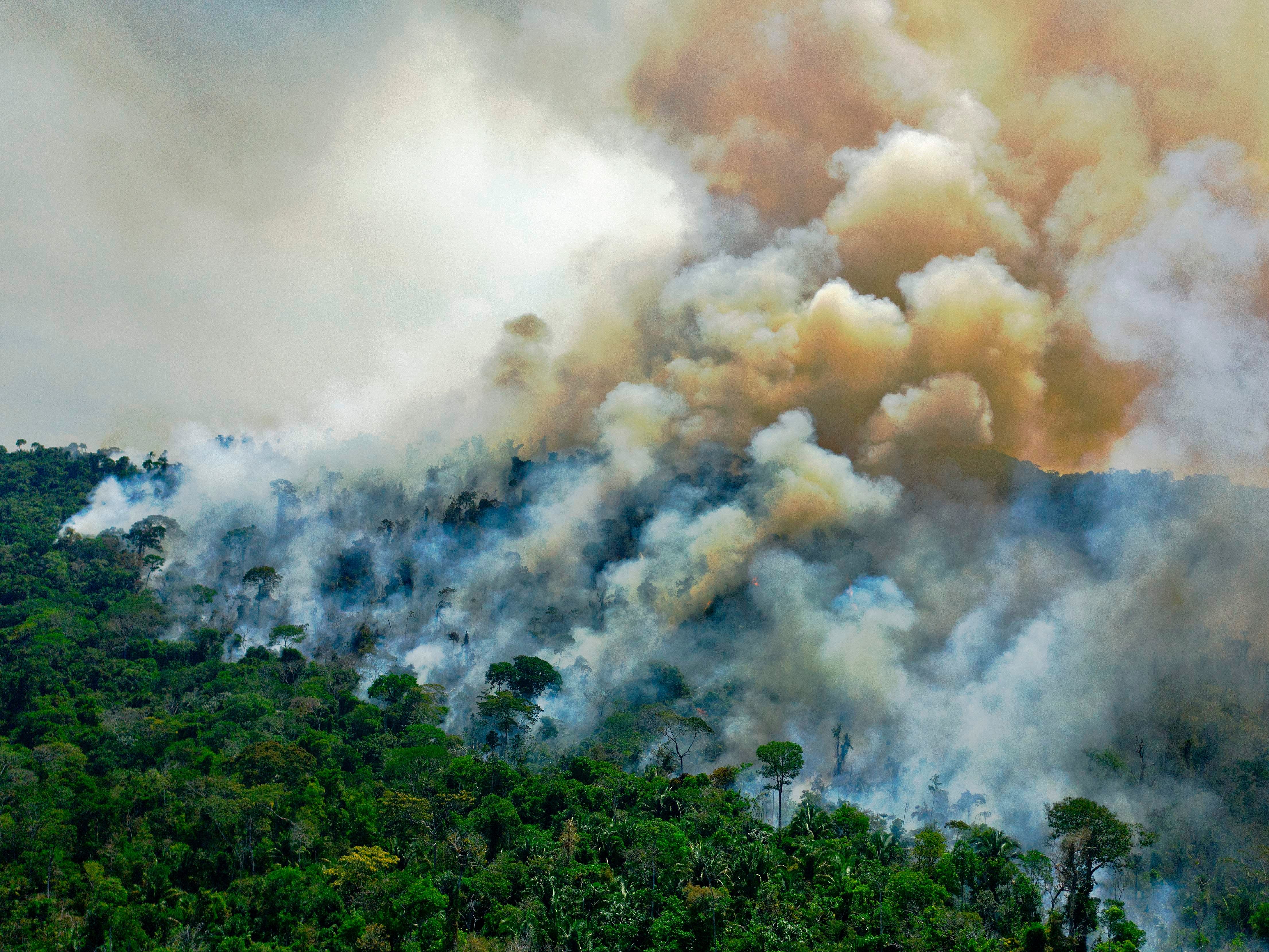 A burning area of Amazon rainforest south of Novo Progresso in Para State