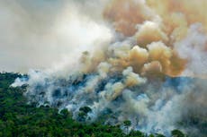 Brazil warns Biden not to trust Bolsonaro as he demands cash in exchange for climate action