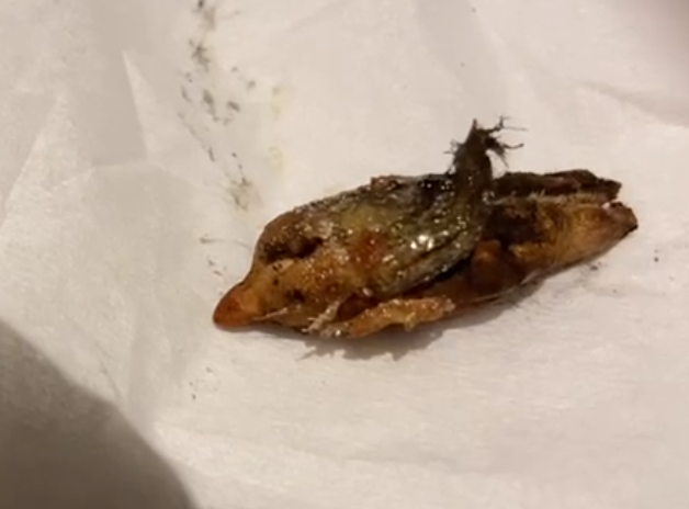 Mr Azam found an insect inside a date he had started to eat