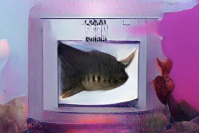 <p>We fed an AI the phrase ‘A Catfish Named Oobah’. It made this picture</p>