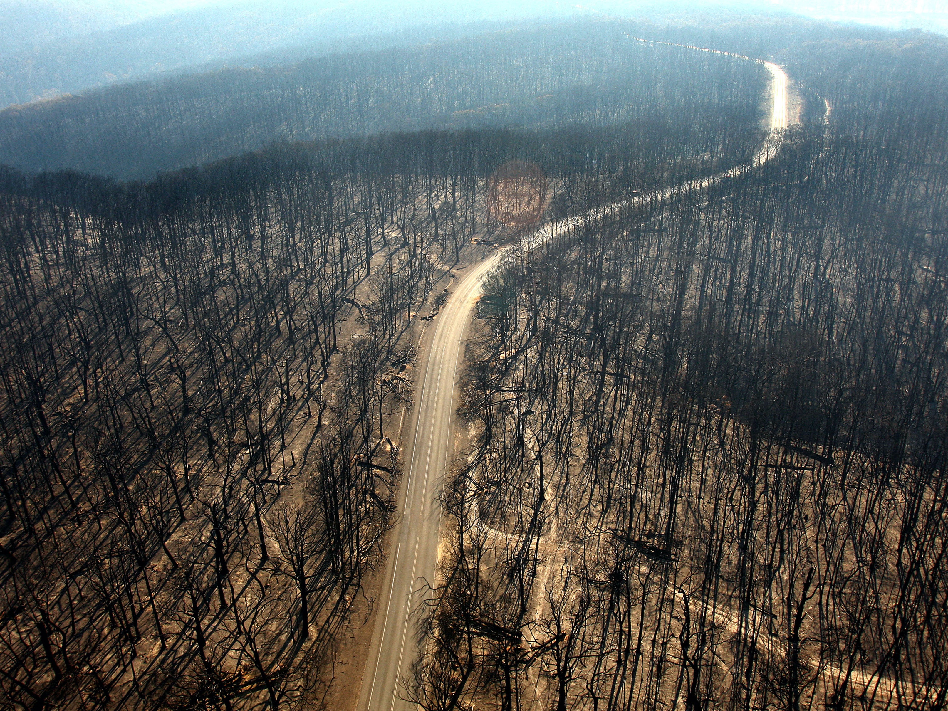 Devastation caused by wildfires in Australia