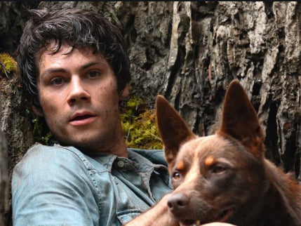 Netflix film ‘Love and Monsters’ starring Dylan O’Brien and Hero and Dodge the dogs