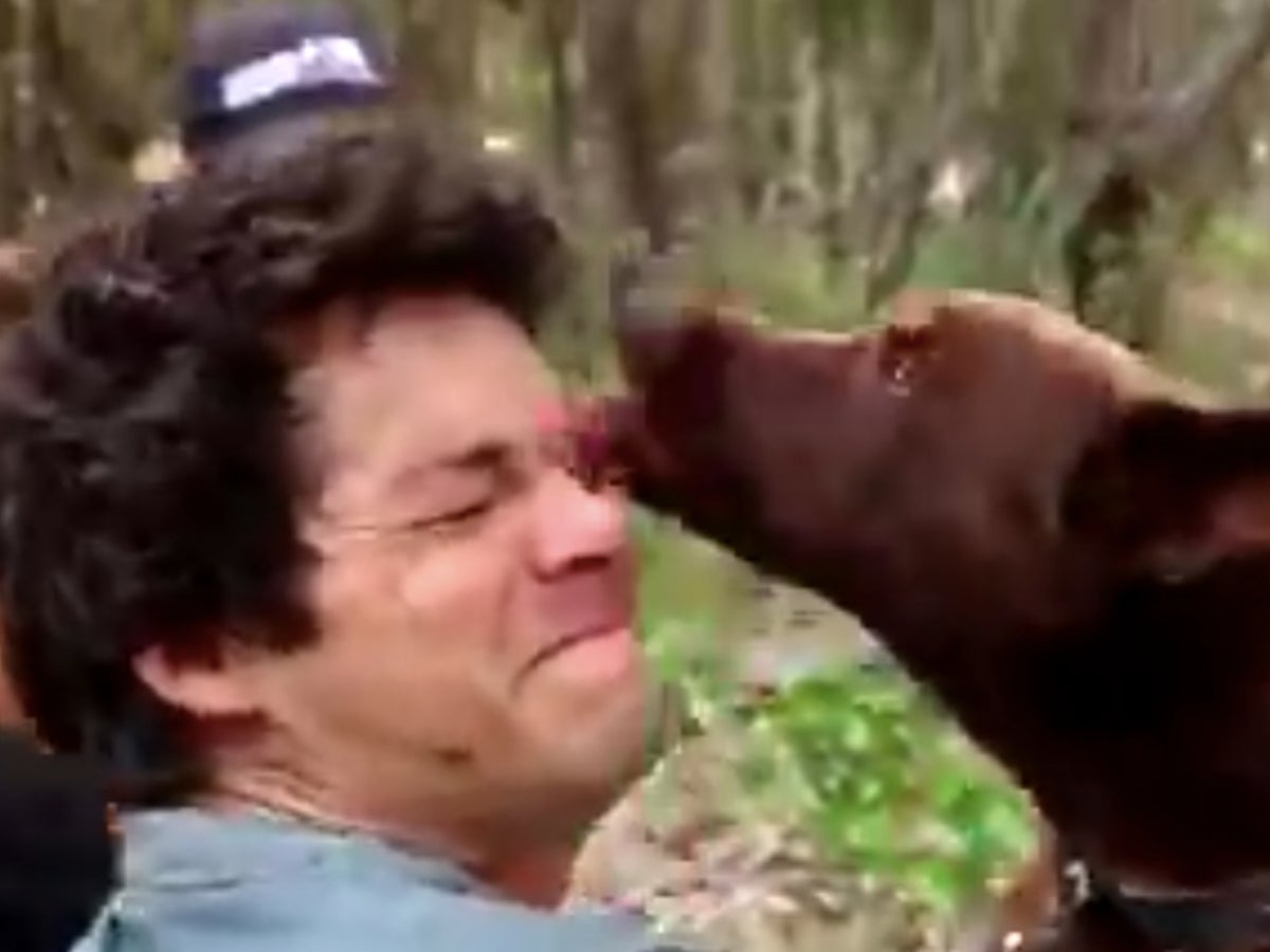 Love and Monsters BTS Dylan O'Brien video with dog melts fans' hearts | The  Independent