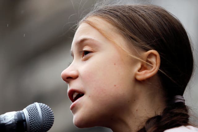 <p>Greta Thunberg blasted US climate policy in a speech to Congress on Thursday</p>