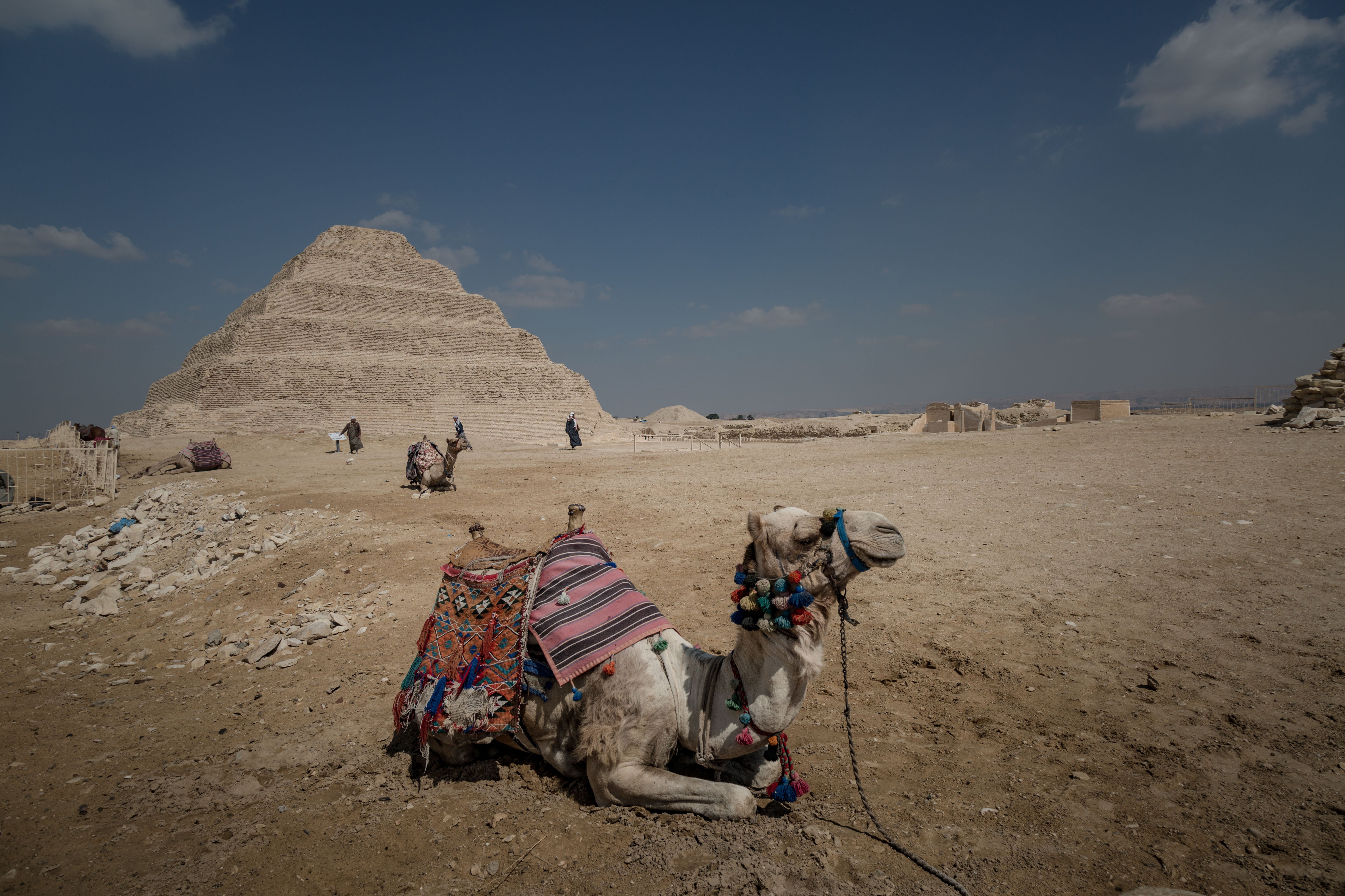 A tourists’ camel rests in front of the Step Pyramid of Djoser