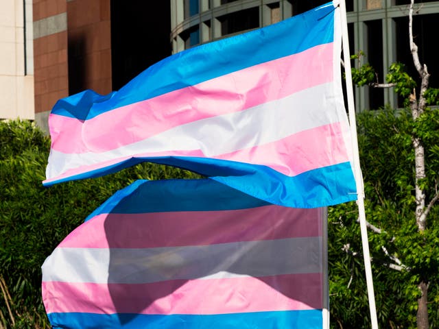 Las banderas del orgullo trans ondean en el viento en una reunión para celebrar el Día Internacional de la Visibilidad de las Personas Transgénero, el 31 de marzo de 2017 en el Edificio Federal Edward R Roybal en Los Ángeles, California.