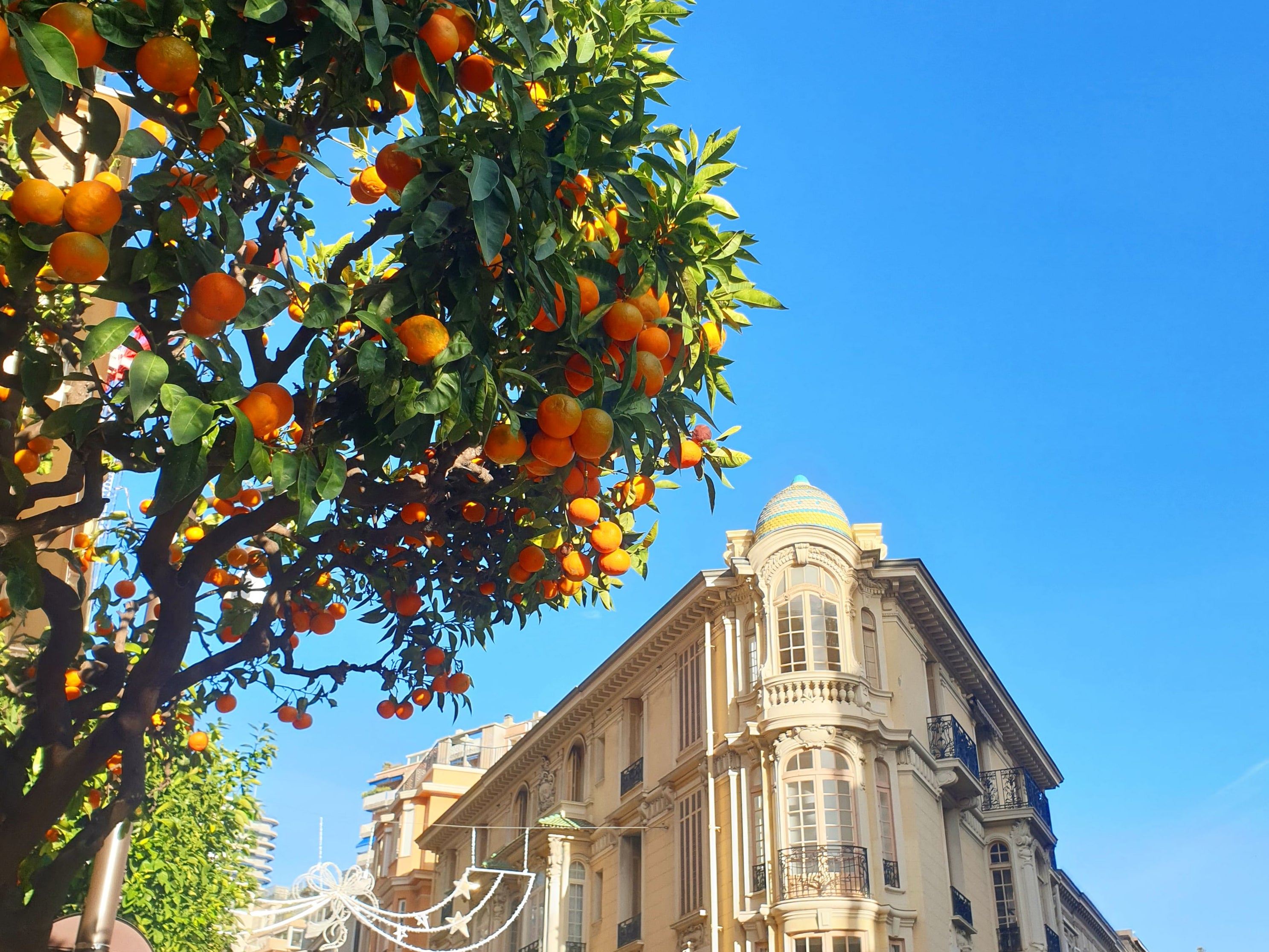 Monaco’s bitter oranges have been put to good use to produce a sweet signature liqueur