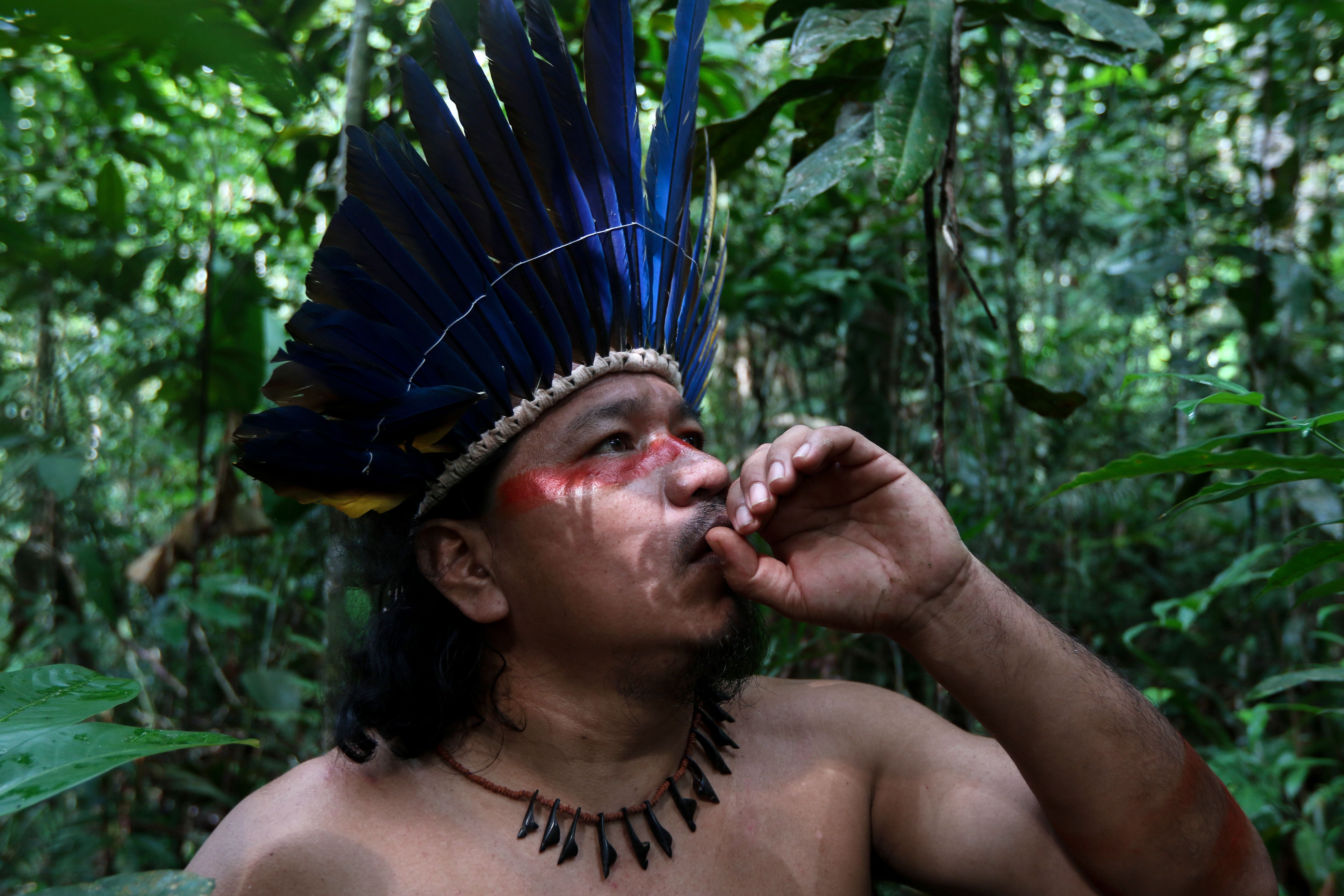 Indigenous groups are the best guardians of nature and are key to protecting biodiversity