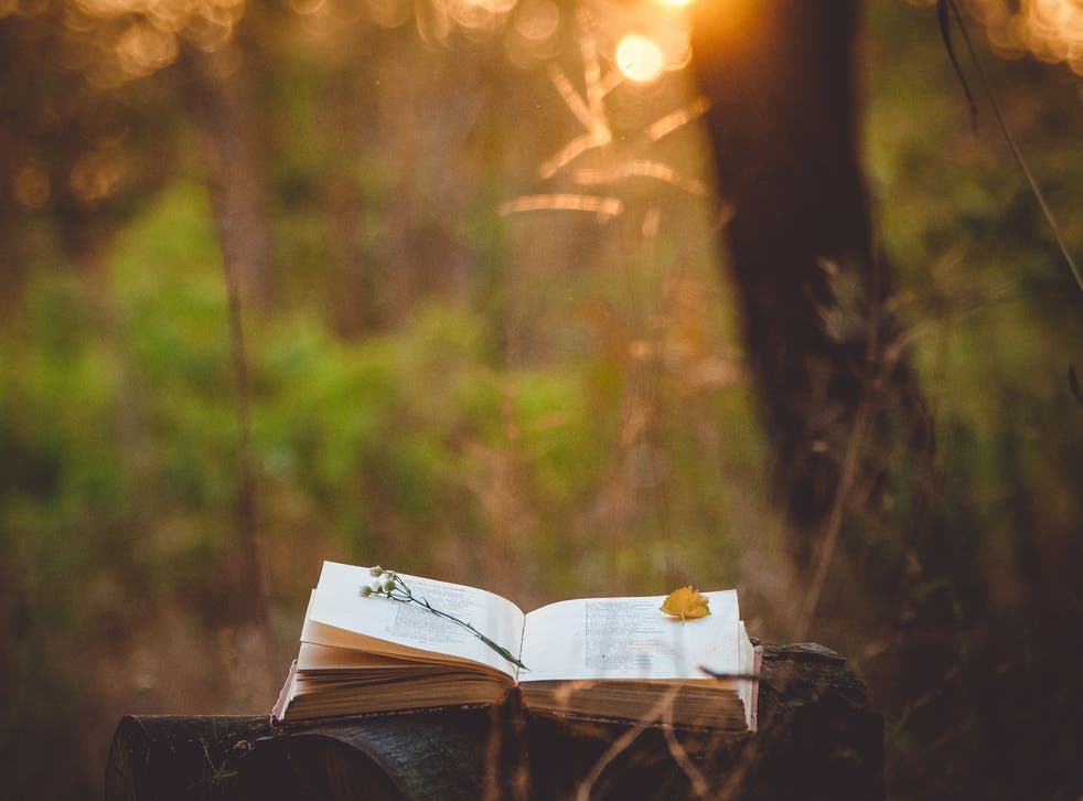 A serene stock pic of a book lying on a log near some trees