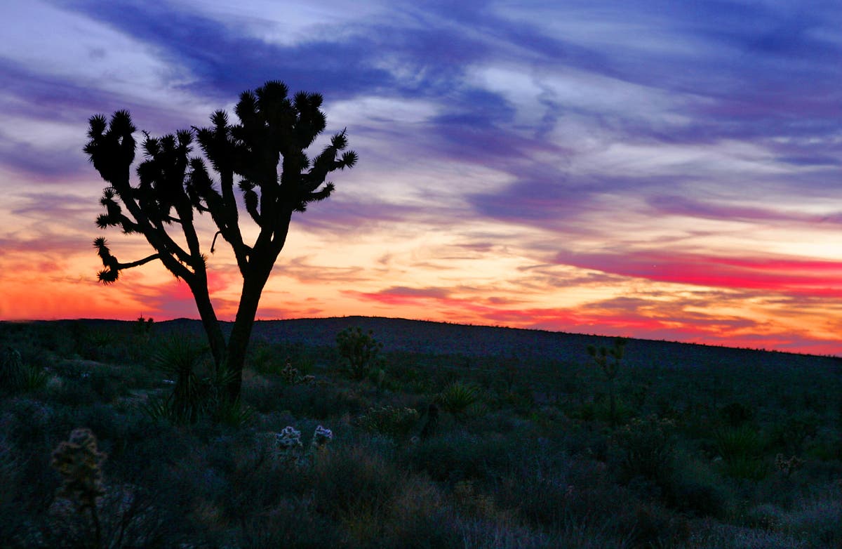 Police identify Mojave desert murder victims from 1980 cold case and link deaths to man in prison for other killings