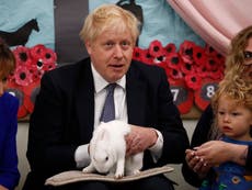 ‘I’m very keen on bunnies’: Boris Johnson’s father Stanley defends rabbits after PM mocks climate activists