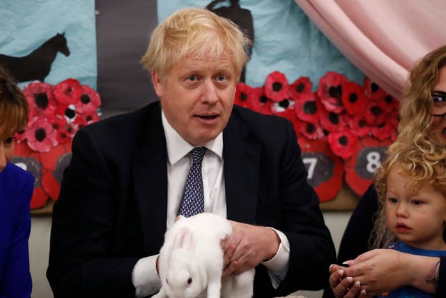 Boris Johnson, who used a rabbit at a school visit in 2019 election campaigning, derided ‘bunny-huggers'