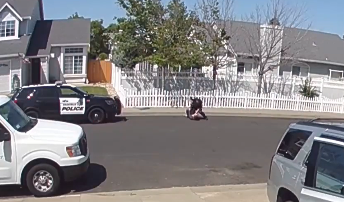 California police officer seen on camera punching autistic teenager California police officer seen on camera punching autistic teenager