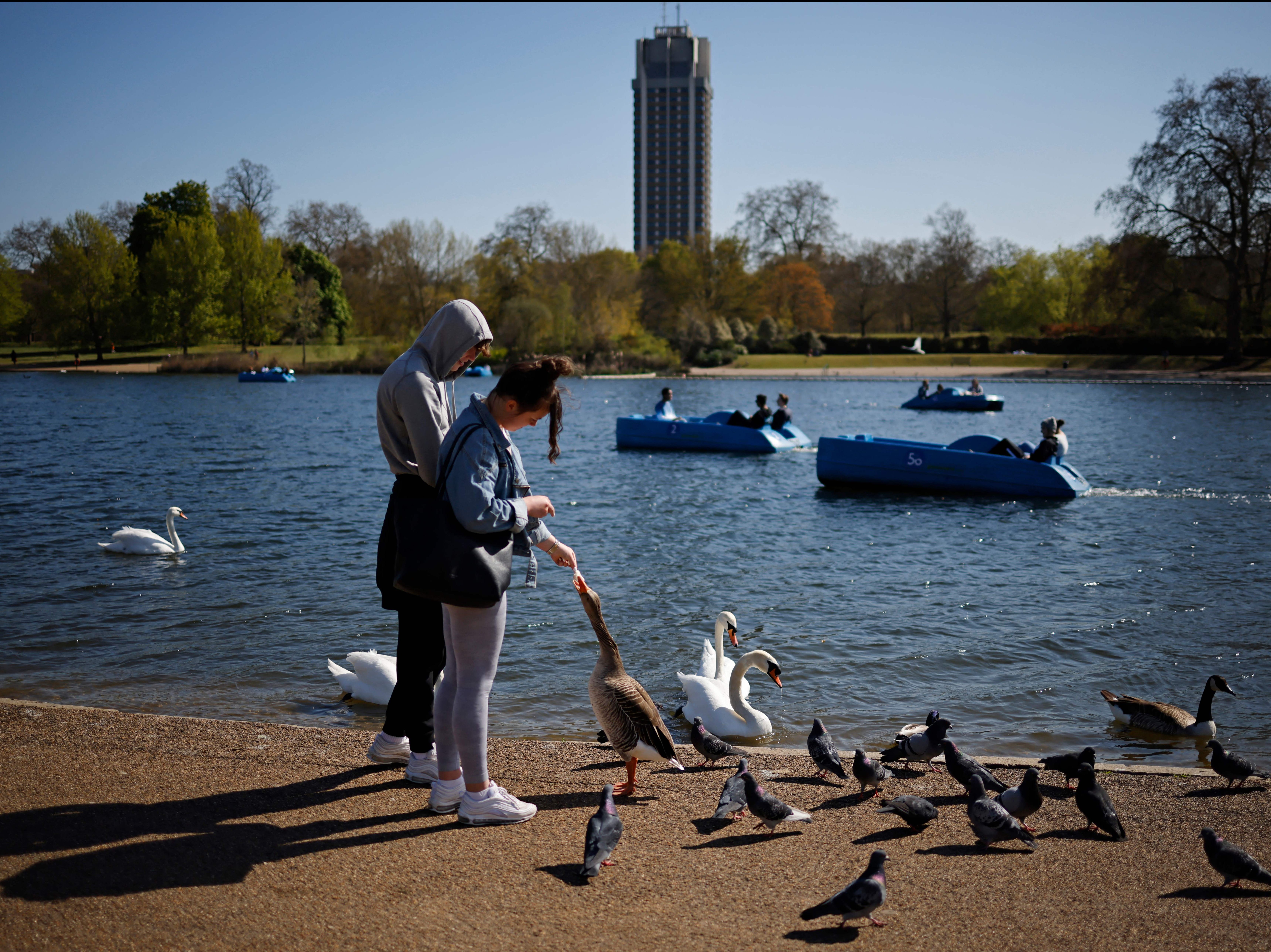 People feed the birds beside the Serpentine in Hyde Park on Friday