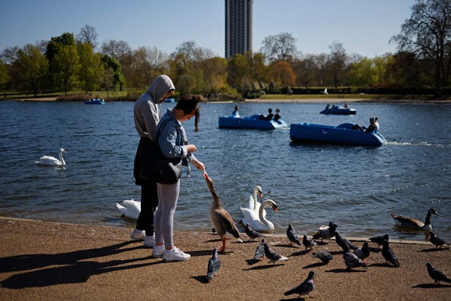 People feed the birds beside the Serpentine in Hyde Park on Friday