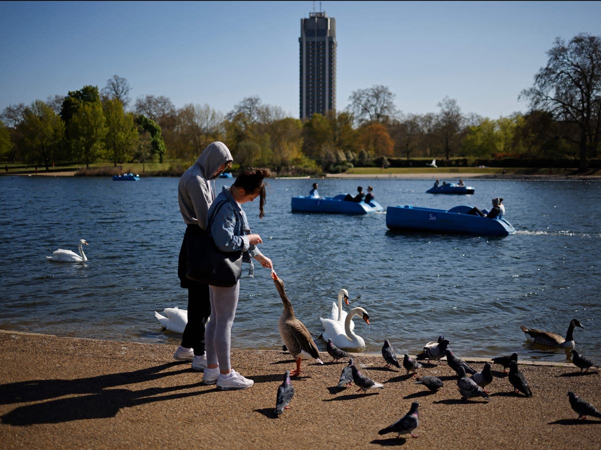 UK weather: Temperatures to reach 18C on Saturday as April remains sunny and ‘remarkably dry’ UK weather: Temperatures to reach 18C on Saturday as April remains sunny and ‘remarkably dry’