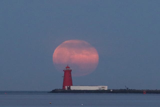 A pink supermoon is set to brighten the night skies over the UK next week, though there will not be any noticeable difference in colour, as the name might suggest