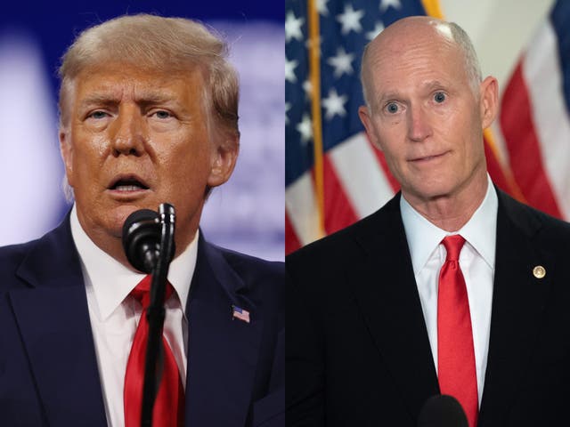 <p>Rick Scott says he gave Trump a ‘Champion of Freedom Award’ because he ‘worked hard’</p>