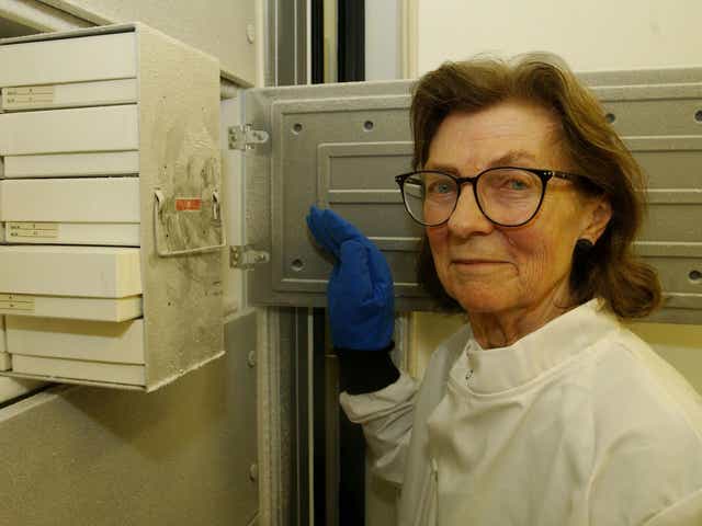 <p>Anne McLaren carried out groundbreaking research which paved the way for IVF</p>