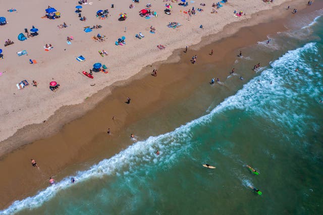 <p>The ticks were found in the brush leading up to the beach</p>