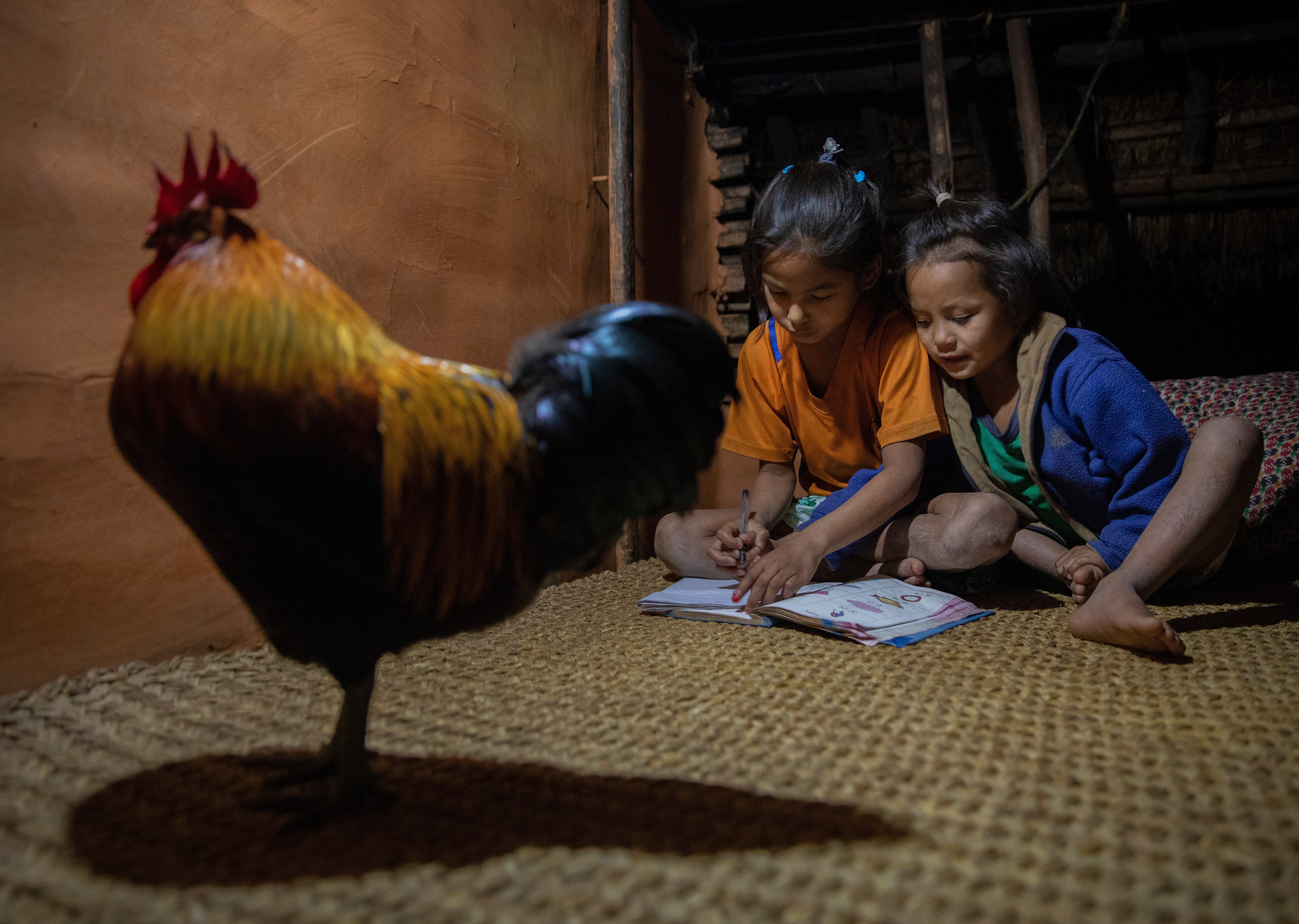 Preeti continued: “In the evenings I do my homework when Auntie Bhim cooks. I also try to teach my little sister. I help at home by cleaning the house, smearing the house with red mud, sweeping the front yard every morning, feeding the pigs, cows and goats, and looking after the rooster.”