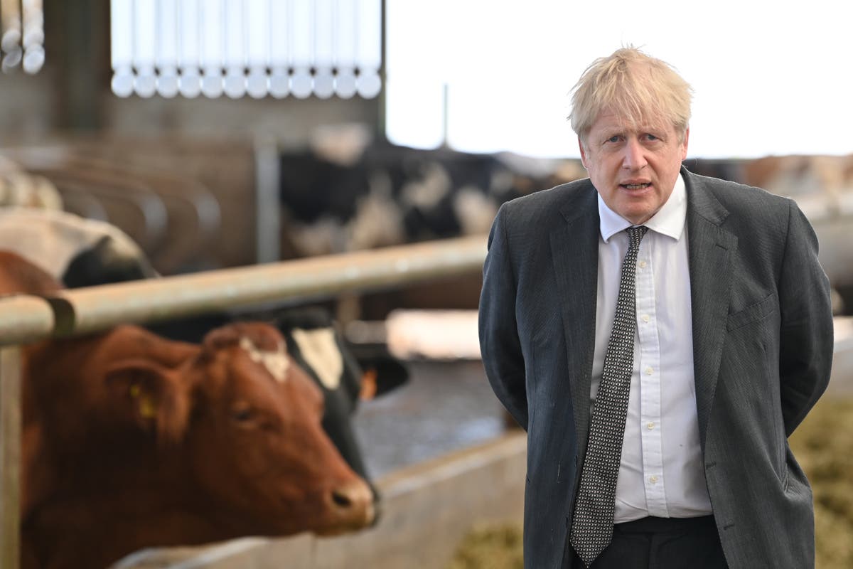 Don&rsquo;t listen to the Tories: &lsquo;ordinary&rsquo; people should care about Boris Johnson&rsquo;s conduct