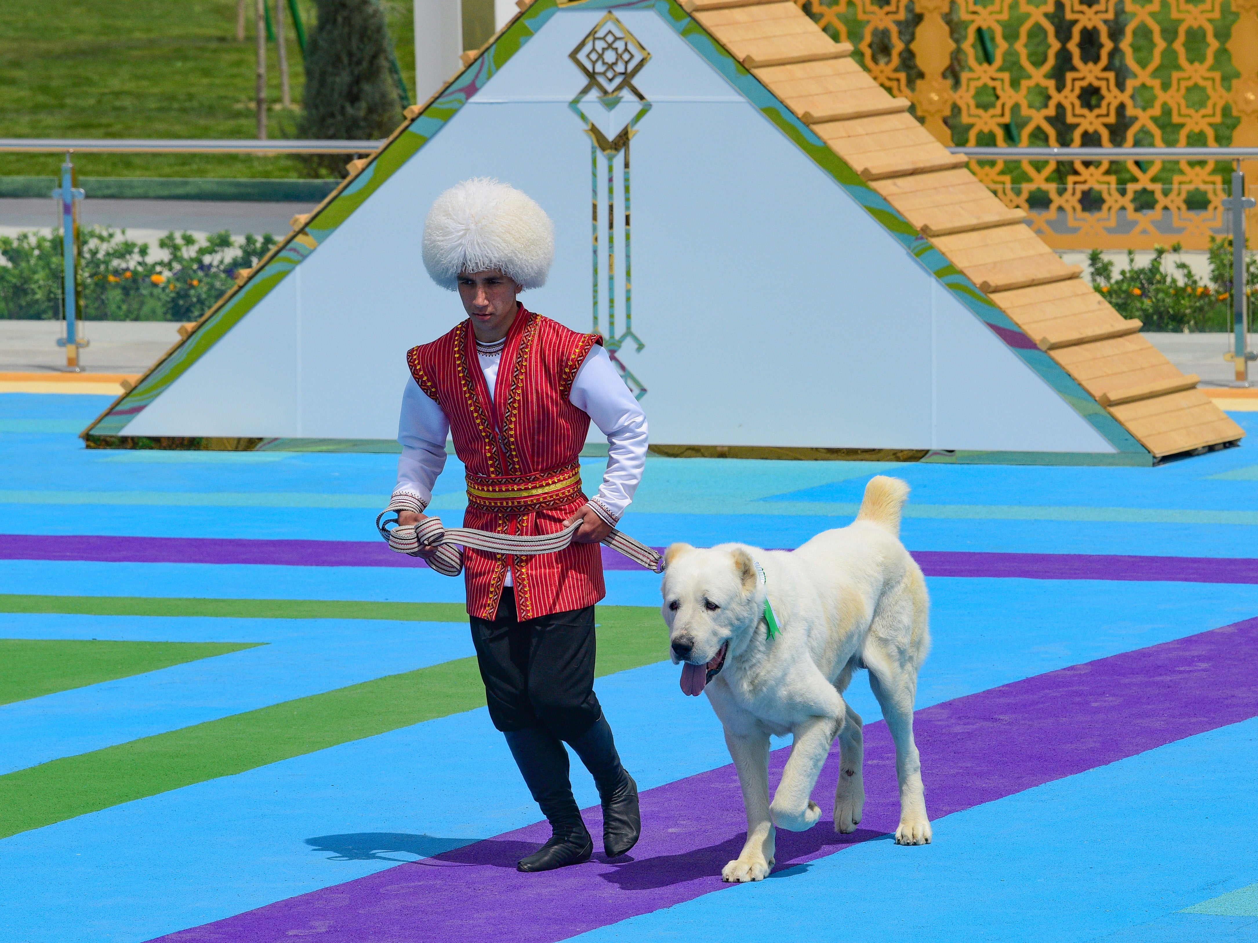 Turkmenistan has new national holiday to honour a dog | The Independent