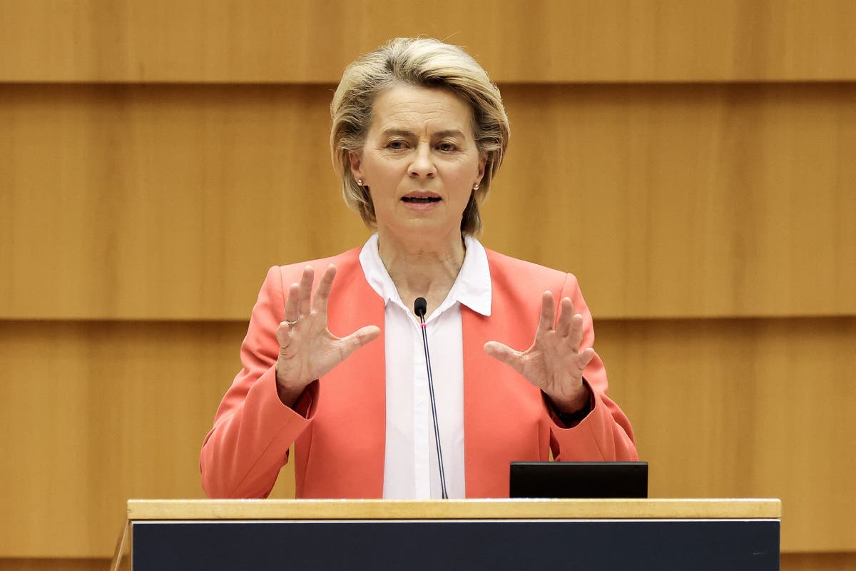 EU chief Ursula von der Leyen admits she felt â€˜hurtâ€™ and â€˜aloneâ€™ during Turkey chair snub