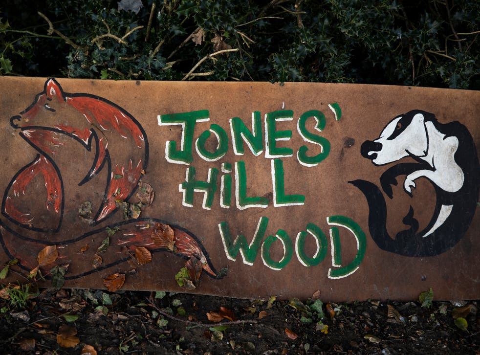 Jones Hill Wood in Great Missenden, Buckinghamshire