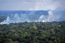 Climate crisis: Deforestation of Amazon rainforest has accelerated since Bolsonaro took office, report finds