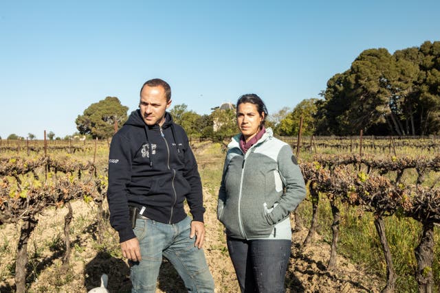<p>Emilie Faucheron and her husband put all their ‘passion’ into devastated vineyard</p>