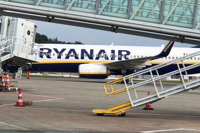 Frequent flyer: a Ryanair Boeing 737 at Lourdes airport in southwest France