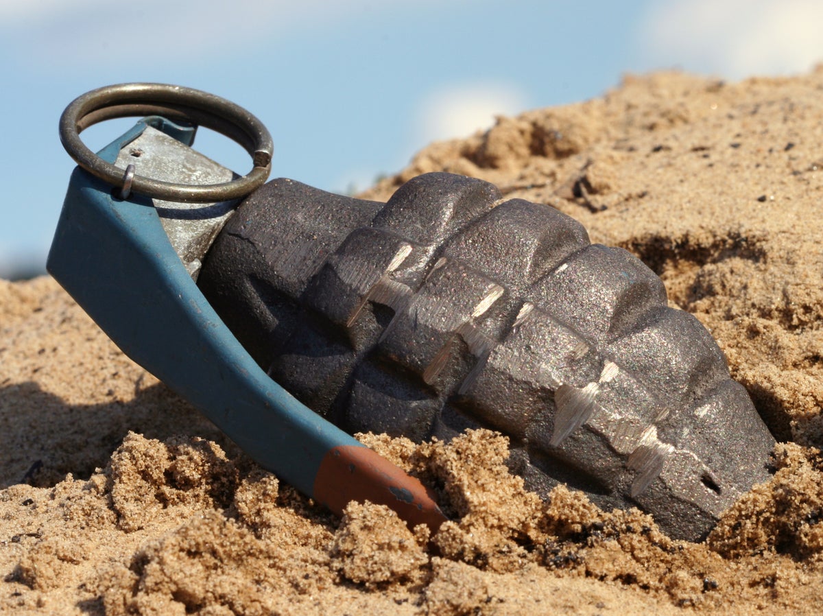 Suspected hand grenade found in Germany turns out to be sex toy, police say 