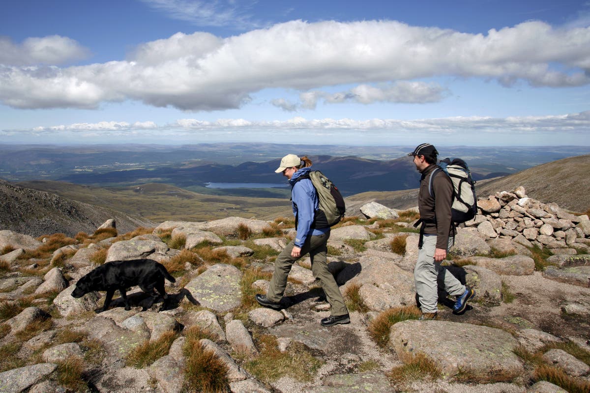 6 beautiful new wellness walking routes in the UK