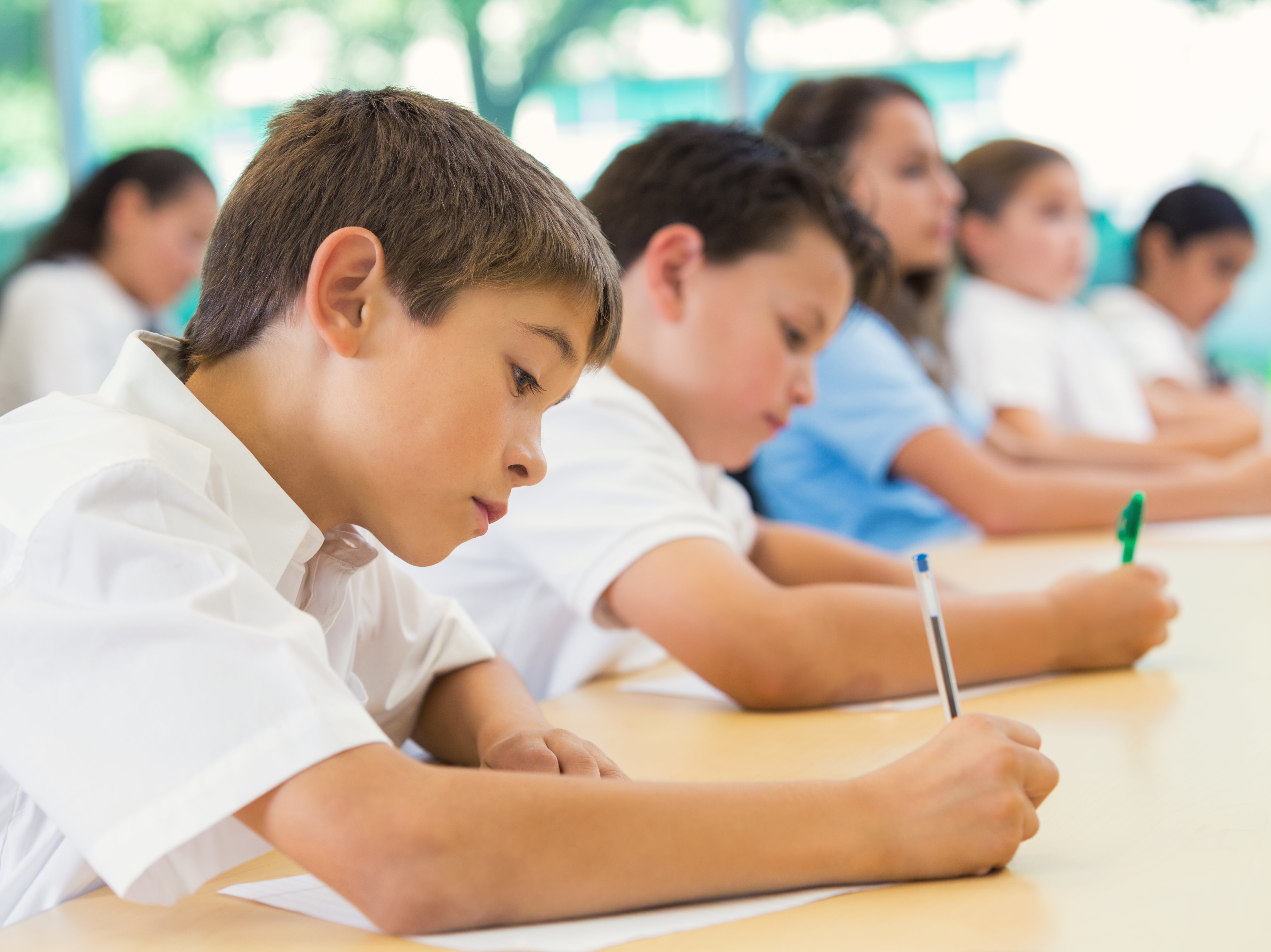 A coalition of parents, headteachers and MPs have called for no Sats next academic year