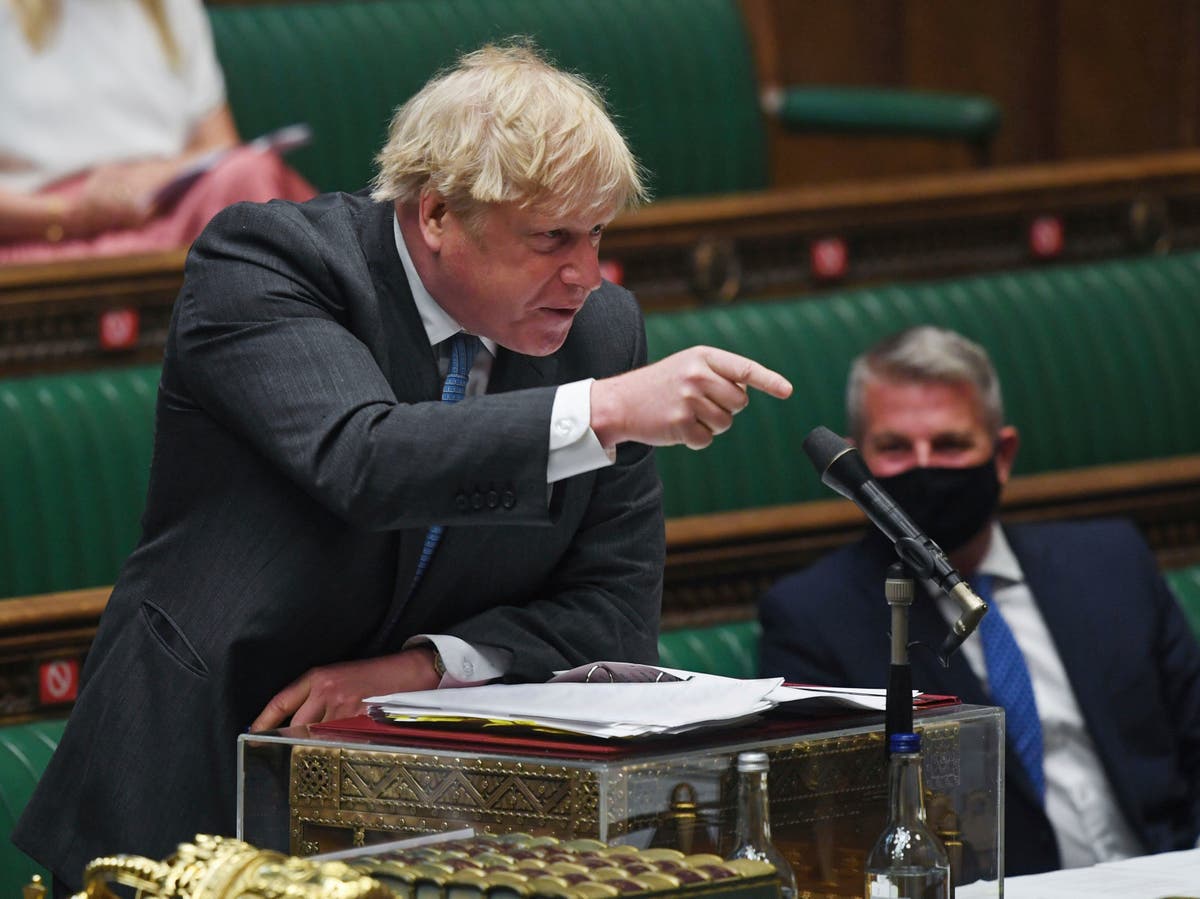 Boris Johnson blasted over ‘toothless’ standards adviser