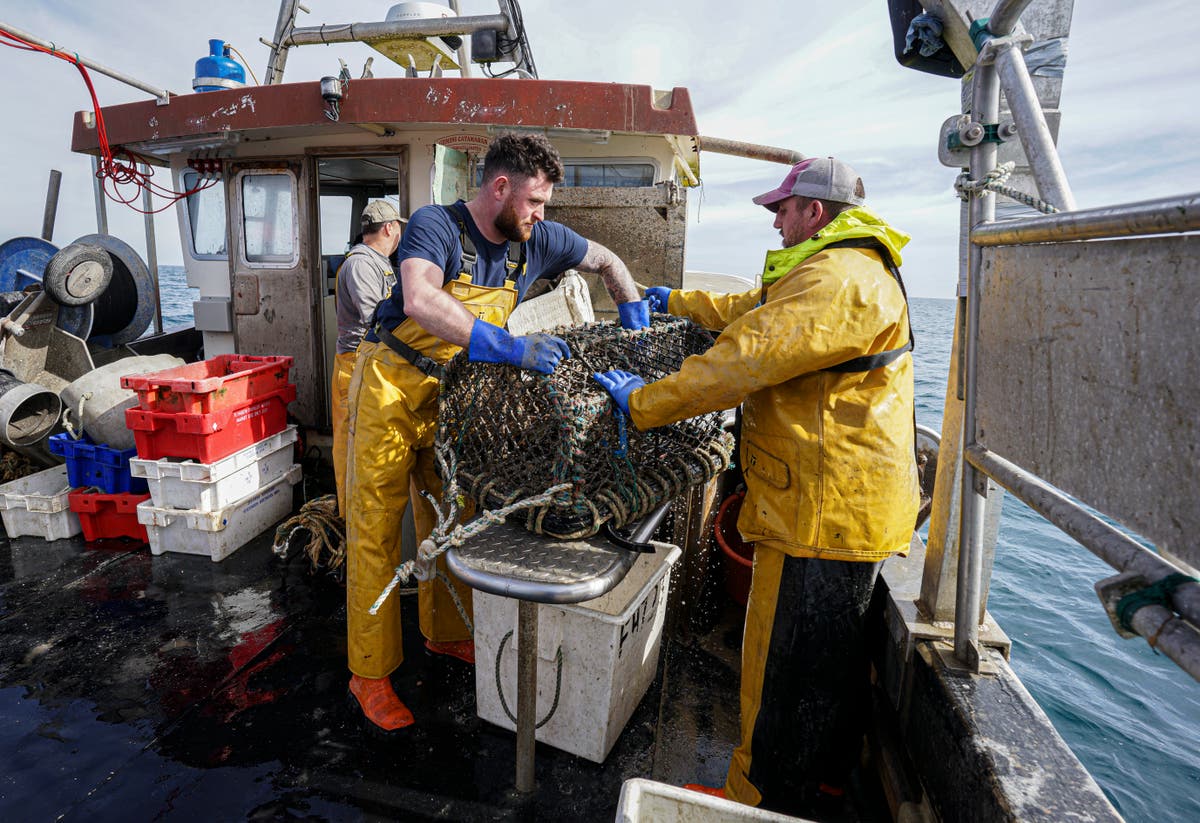 Brexit: New barriers could render small seafood export businesses ‘unviable’, MPs warns
