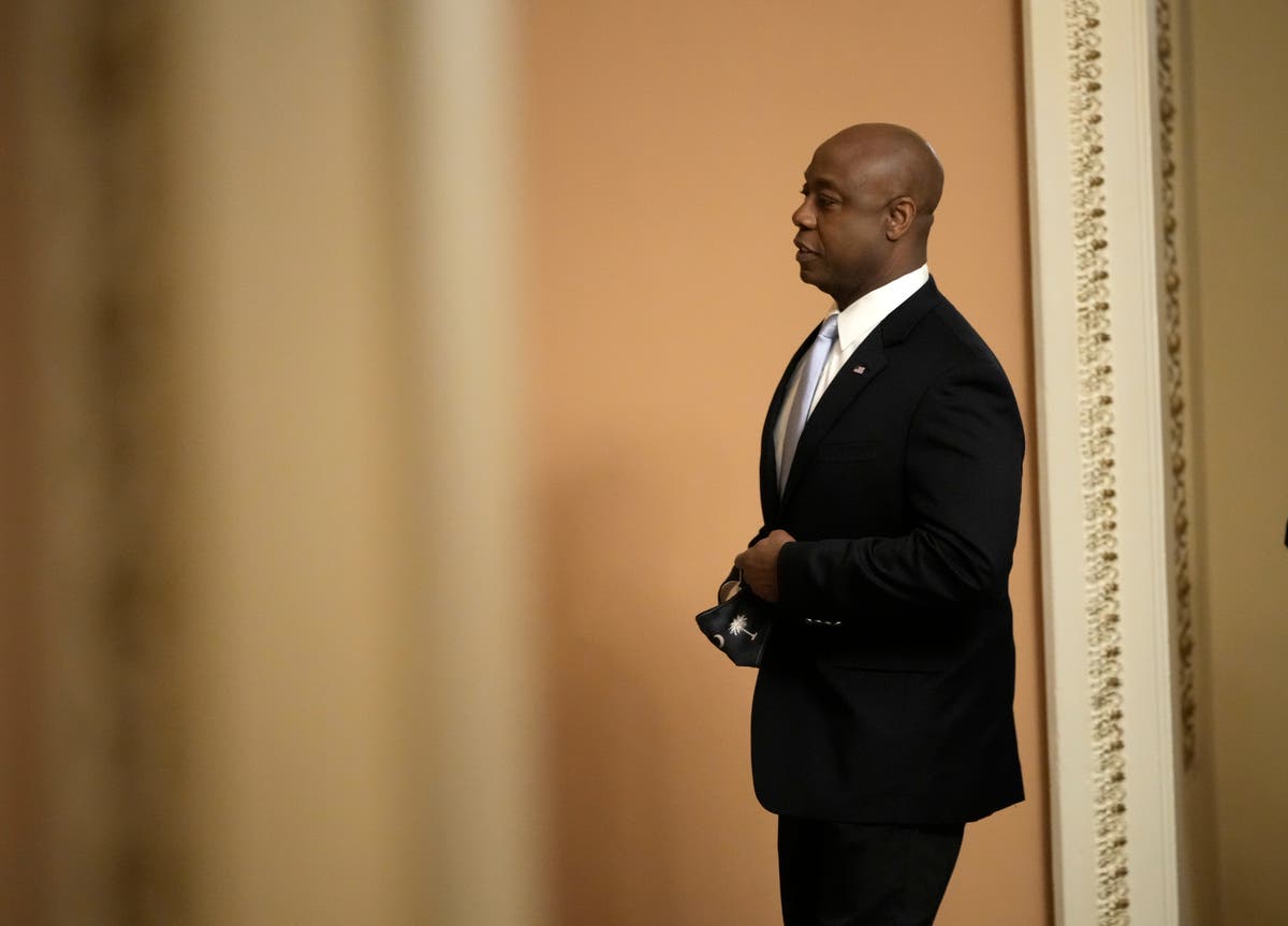 Tim Scott rebuttal: Senator insists US is not racist in response to Biden speech â€“ after revealing racist abuse he faced