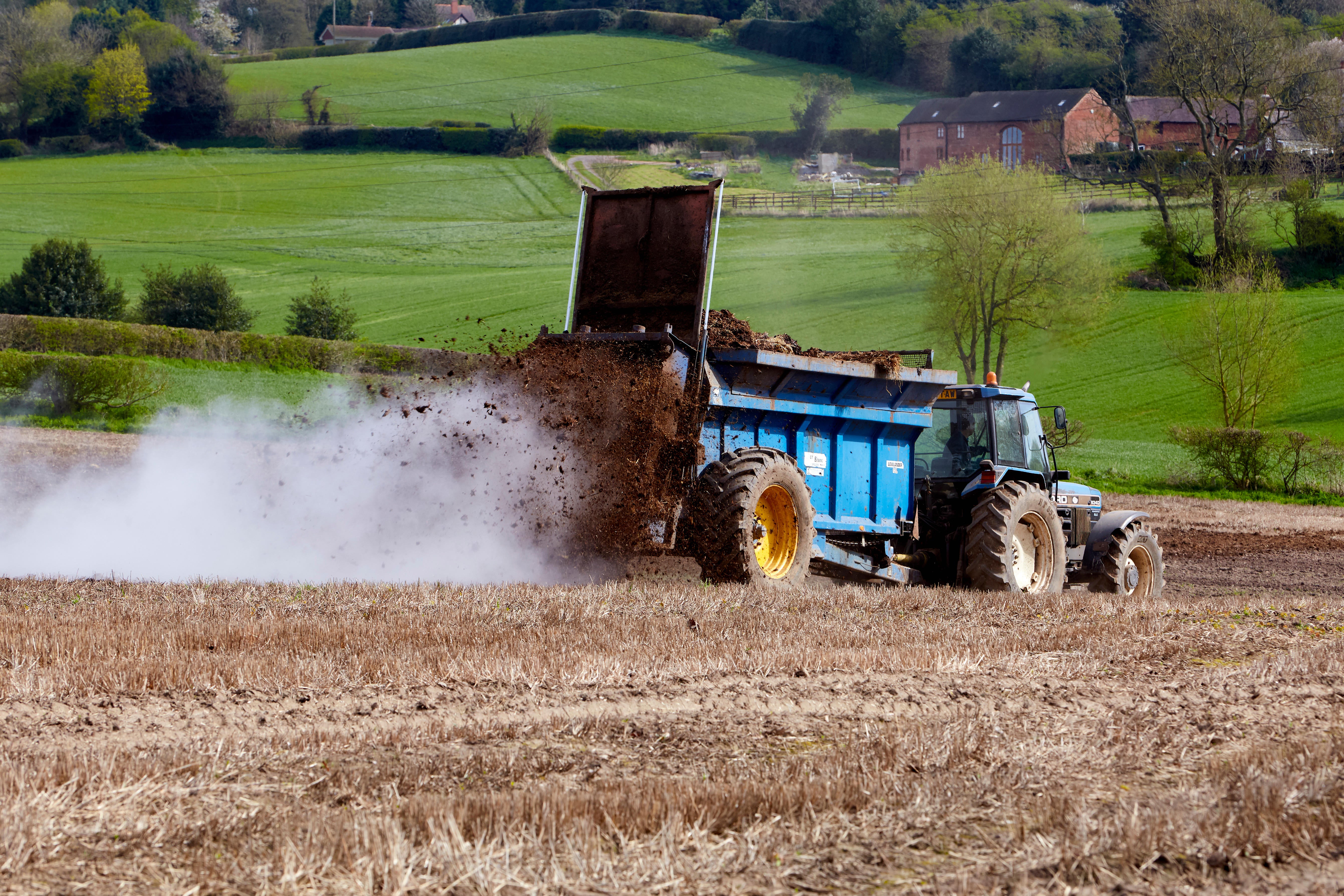 Spreading manure generates ammonia emissions, more than four-fifths of which come from agriculture