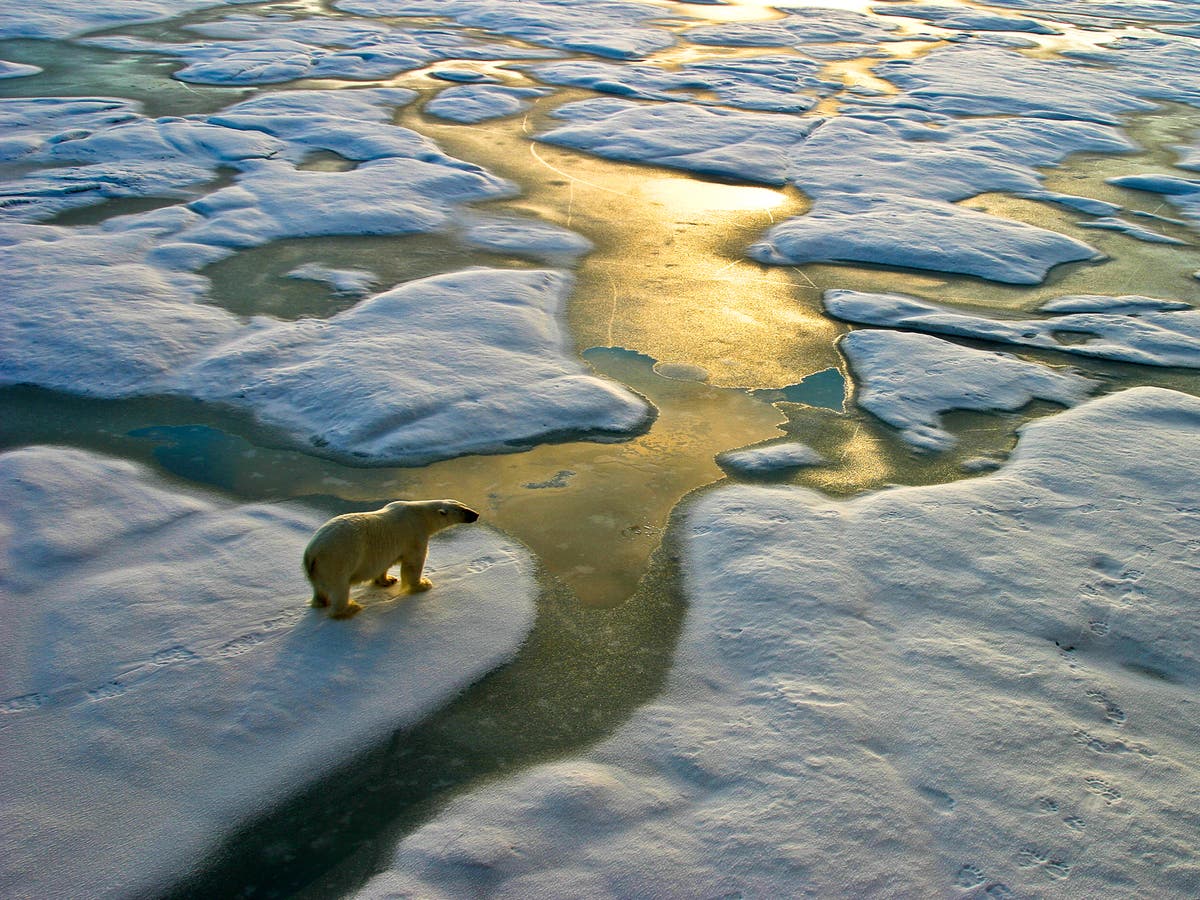 How to talk to children about the climate crisis