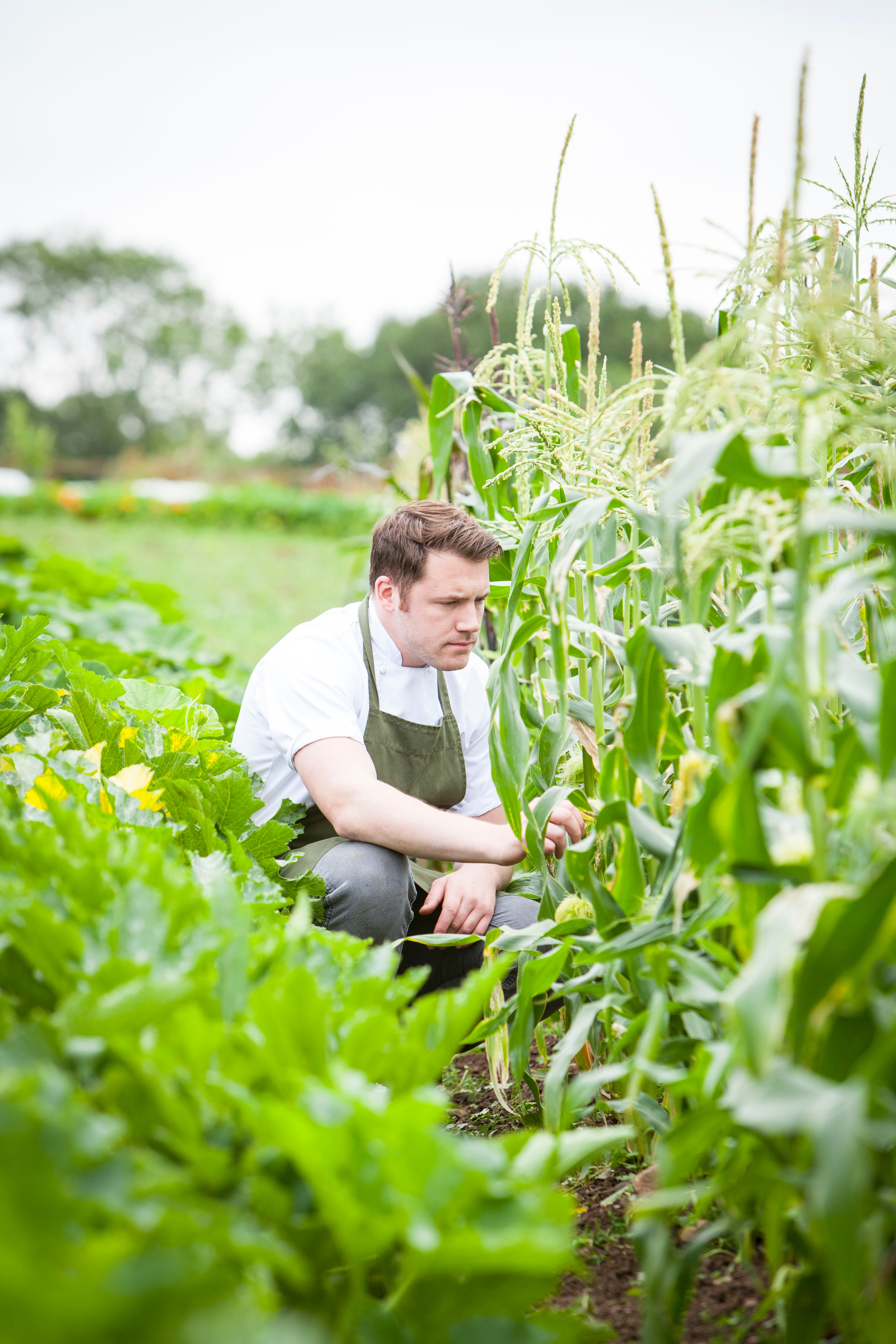 Nature trail: the chef recommends people forage for elderflower and infuse with vinegar