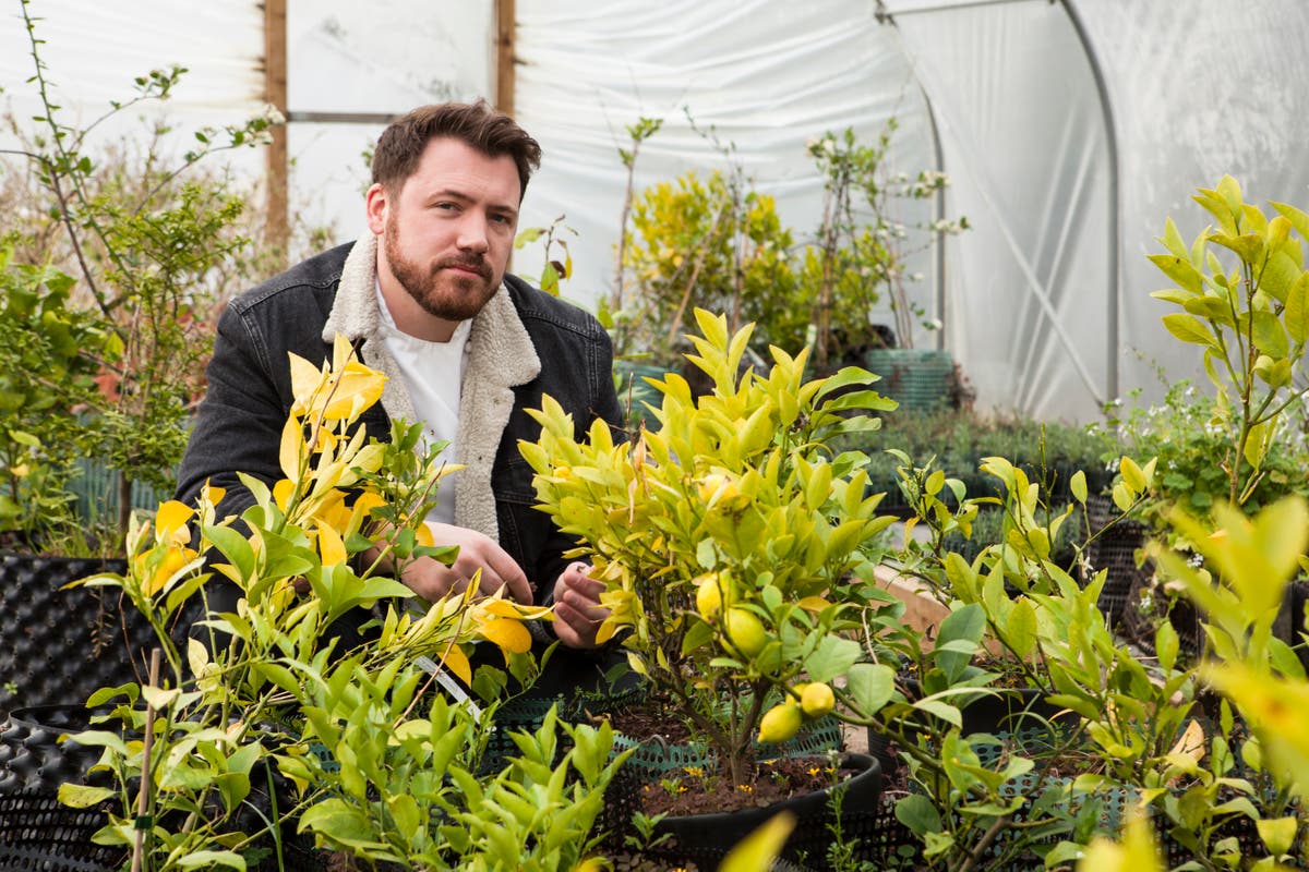 The Black Swan’s Tommy Banks on food boxes, foraging and his favourite ingredients